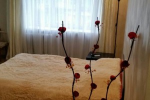 Пятилетки, 51
